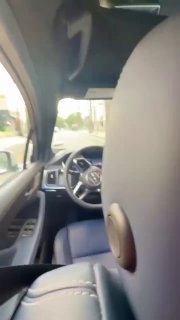 Попугай-водитель: в сети шутят о необычной доставке такси