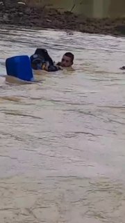 Иллюстрация 1