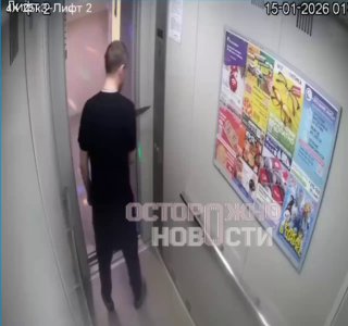 Иллюстрация 1