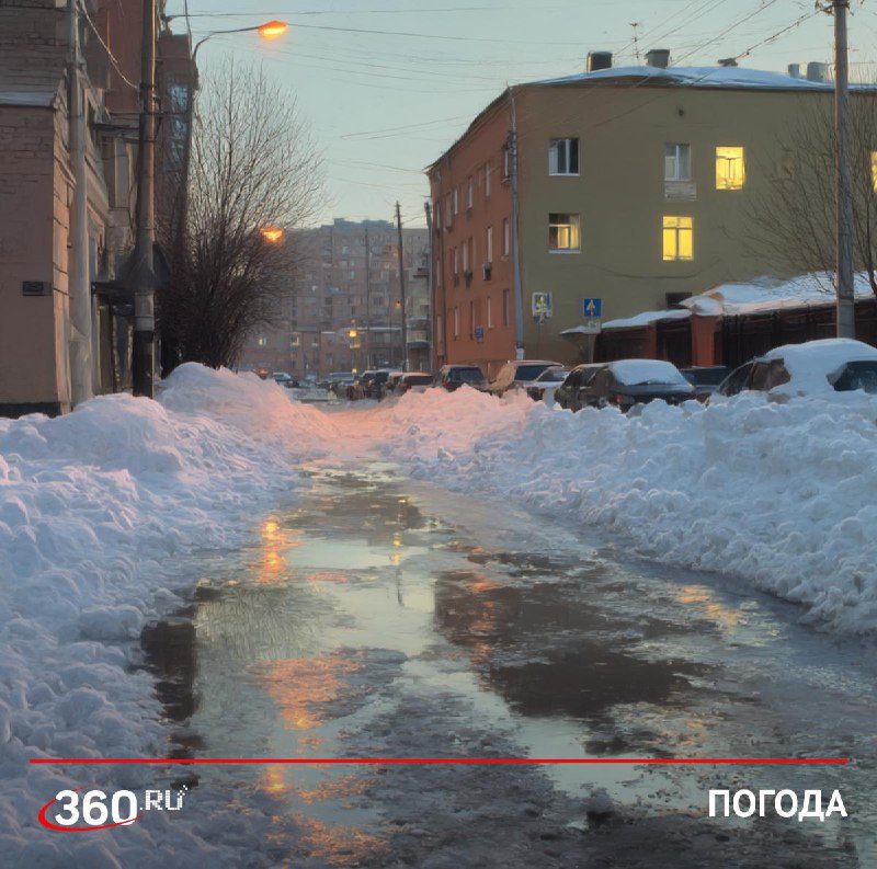 В Москве наблюдается аномальное потепление