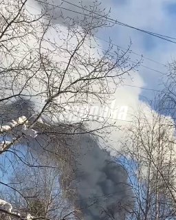 Иллюстрация 1