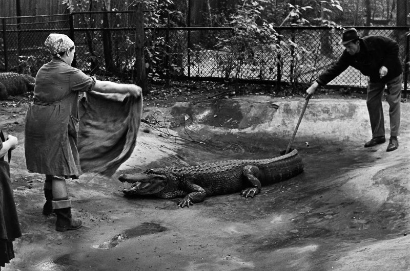 Иллюстрация 3