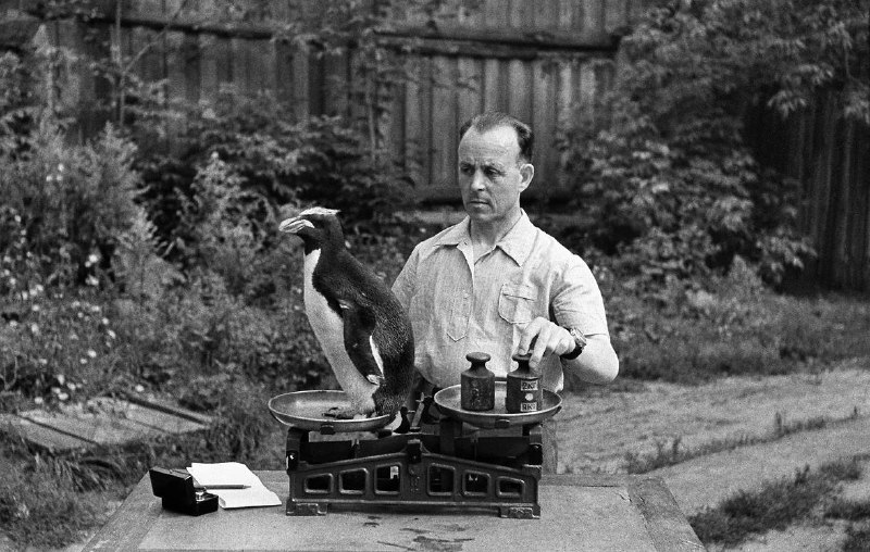 Иллюстрация 4