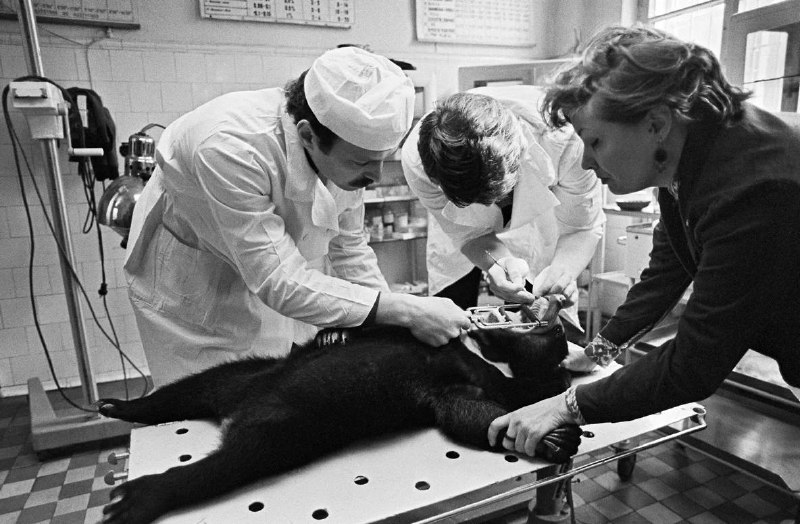 Иллюстрация 5