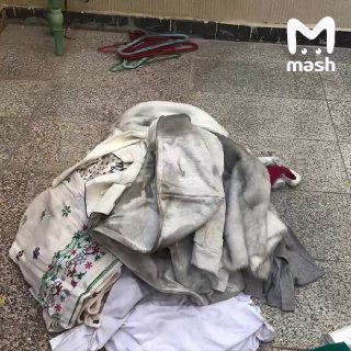 Иллюстрация 1