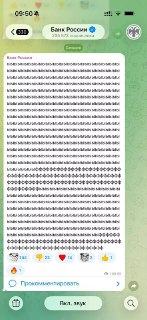 ЦБ признал кота-админа