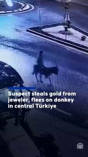 В Турции грабитель скрылся от полиции на осле