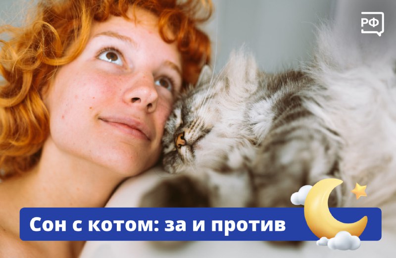 Сон с кошкой: польза и риски
