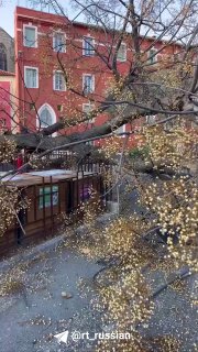 Шторм «Нильс» обрушился на Испанию и Францию