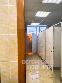 Иллюстрация 1