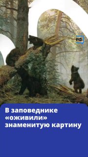 Сайт Объясняем.рф опубликовал видео с медвежатами, повторившими сюжет картины