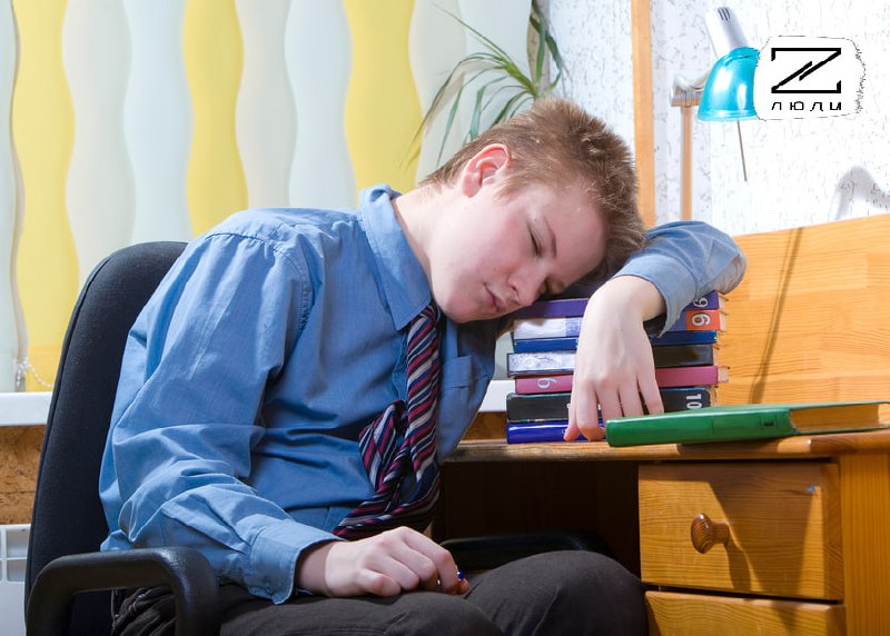 Идеи российских депутатов: парковка, багаж, День любви и без домашнего задания по субботам