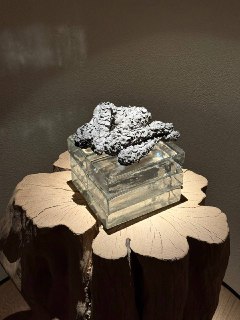 Иллюстрация 7