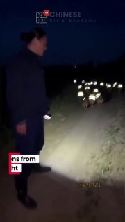 Фермер в Китае сшил светоотражающие жилеты для кур