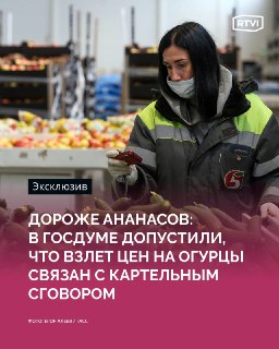 Депутат Госдумы связал рост цен на огурцы с картельным сговором