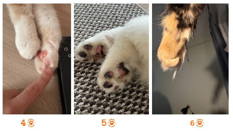 Иллюстрация 3