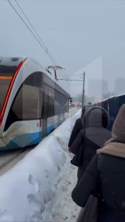 Иллюстрация 1