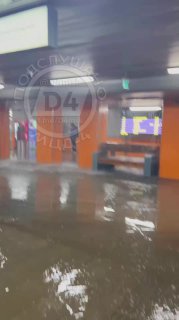 Потоп в Нижнем Новгороде и анонс видеоагрегатора Telegram