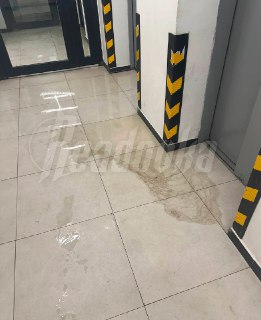 Иллюстрация 2