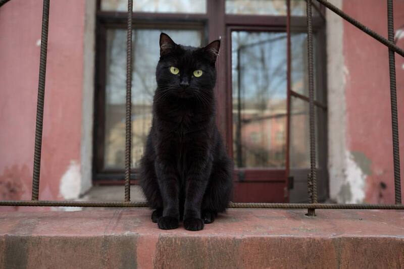 Большинство людей не могут отличить фото от ИИ