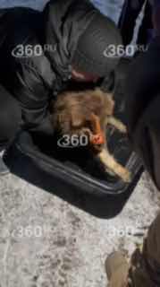 Иллюстрация 2