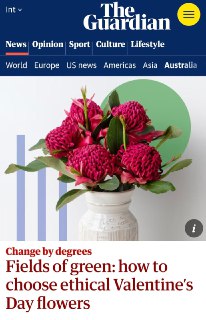 Экологический вред импортных роз