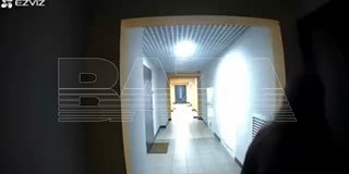 Неадекватная соседка в доме на Пейзажной