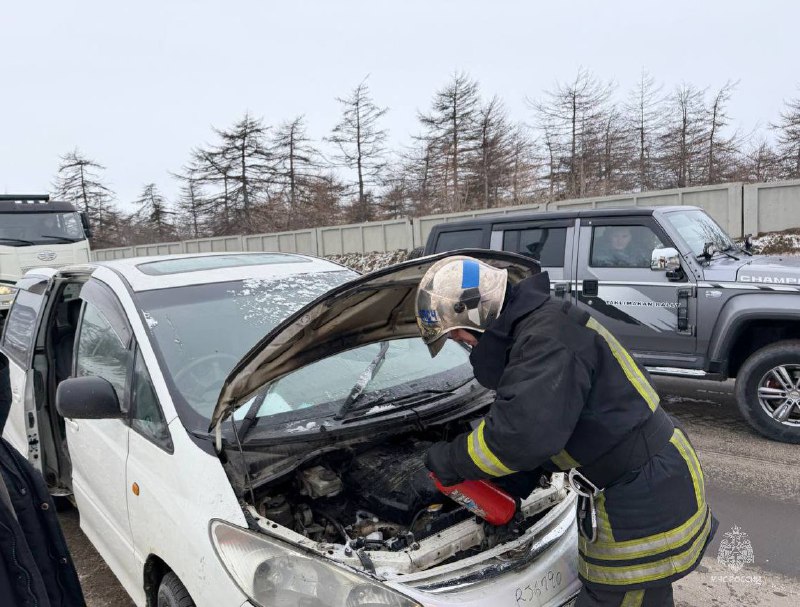 Крысы спалили машину в Магадане