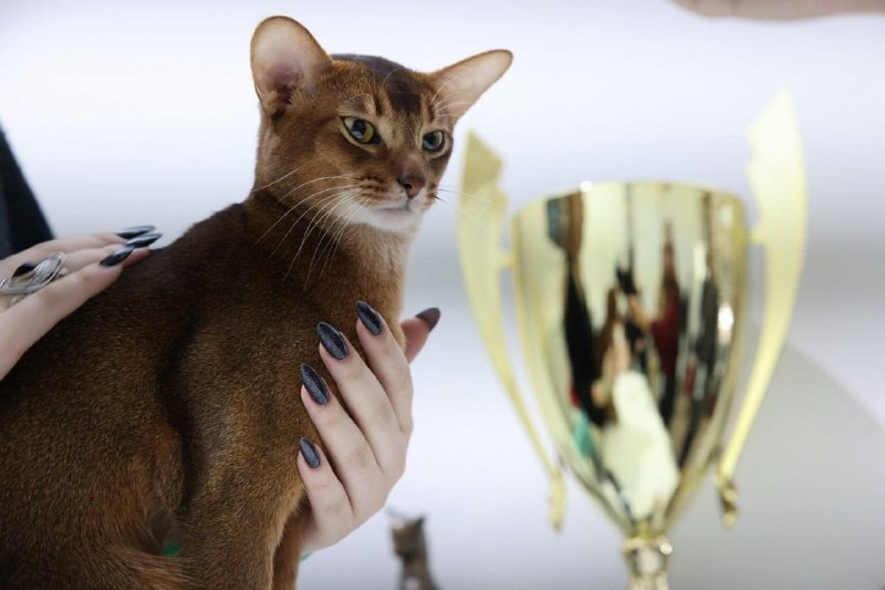 Иллюстрация 2