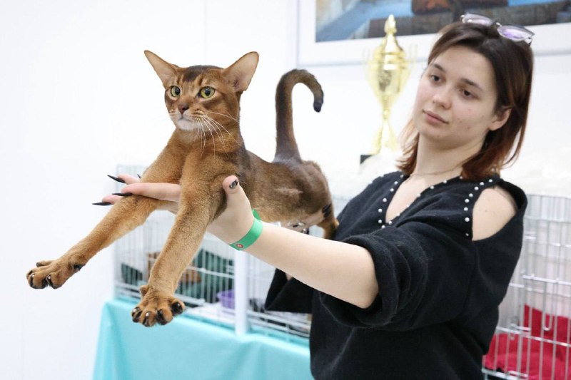 Иллюстрация 3