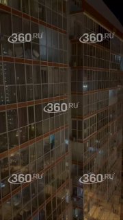 Жительница Красноярска выбросила животных из окна