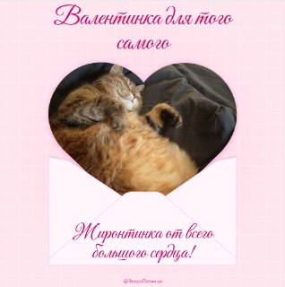 Иллюстрация 2