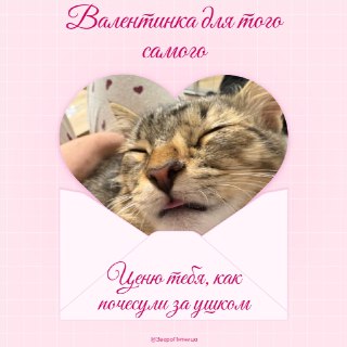 Иллюстрация 4