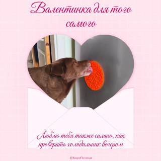 Иллюстрация 5