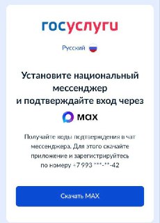 Проблемы с входом на Госуслуги у пользователей iPhone и Android