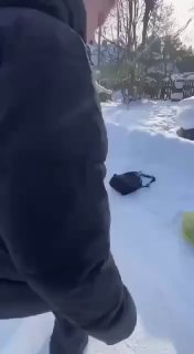 Школьная травля и бездействие таксиста в Вологодской области