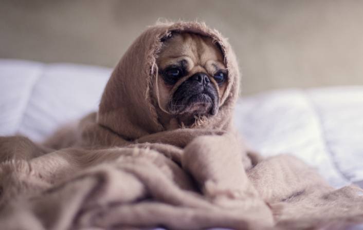 В Петербурге ожидаются сильные морозы