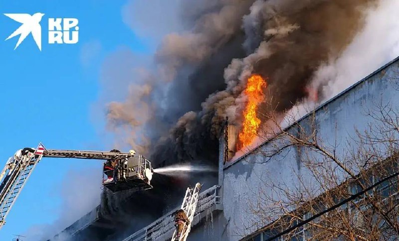 Иллюстрация 5