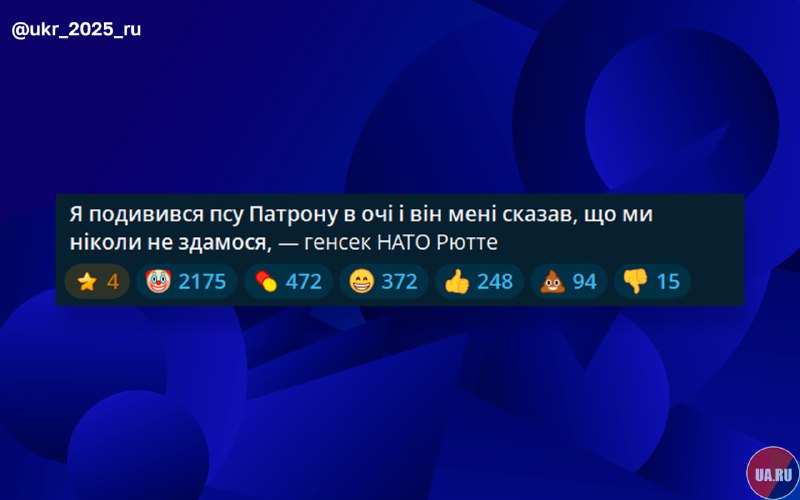 Реакция на заявление Рютте о разговоре с собакой