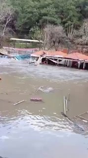 Спасение собаки во время наводнения в Турции