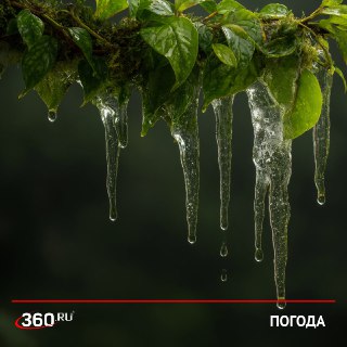 Зимы в Москве становятся теплее из-за глобального потепления