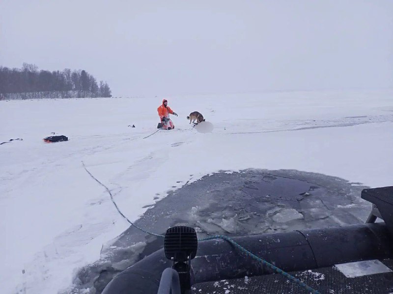 Иллюстрация 2