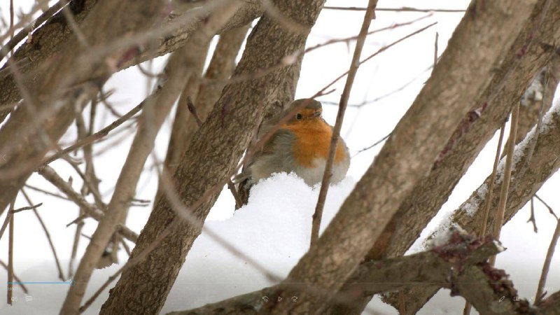 Иллюстрация 4