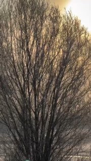 Пожелания спокойной ночи от "Фронтовой птички"