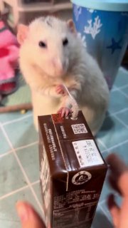 Шоколадный коктейль вместо подарка