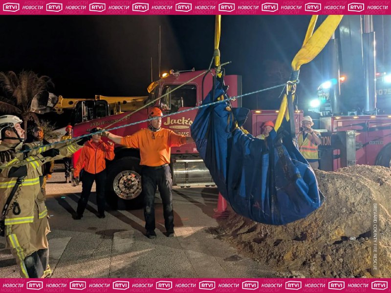 Иллюстрация 2