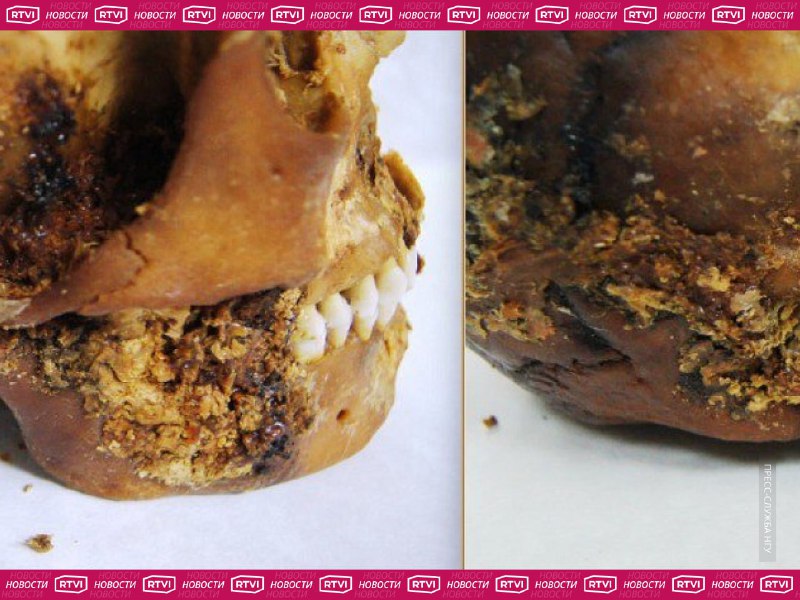 Иллюстрация 2