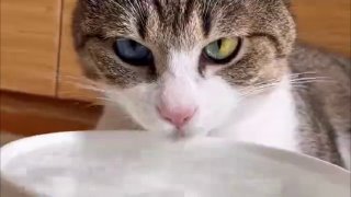 Иллюстрация 4