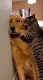 Юмористический пост об отношениях