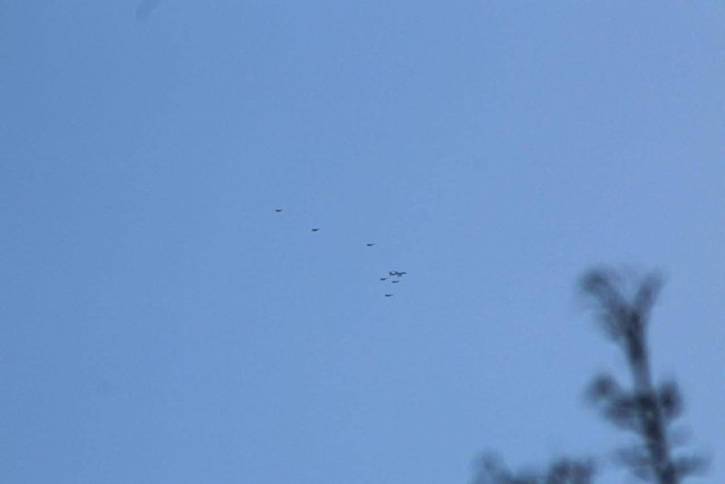 Иллюстрация 3